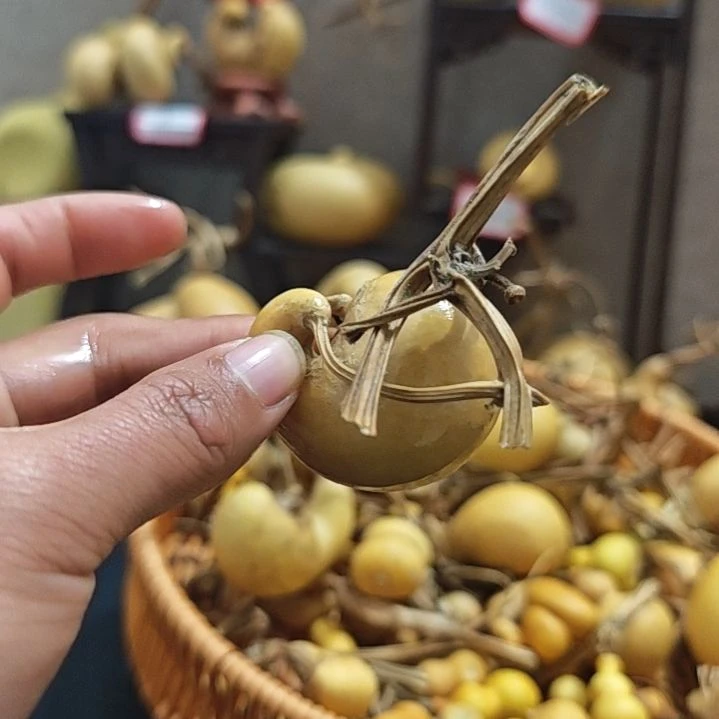 葫芦葫芦葫芦葫芦