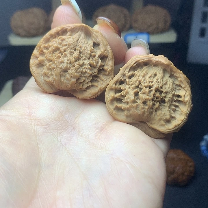 官帽蛇11111111111111111111111111