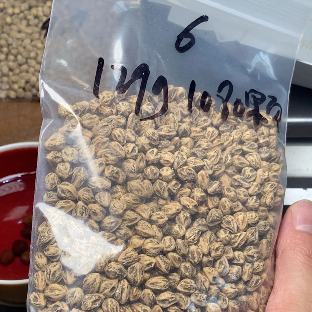 柏香籽/百香籽吊坠唯*?
