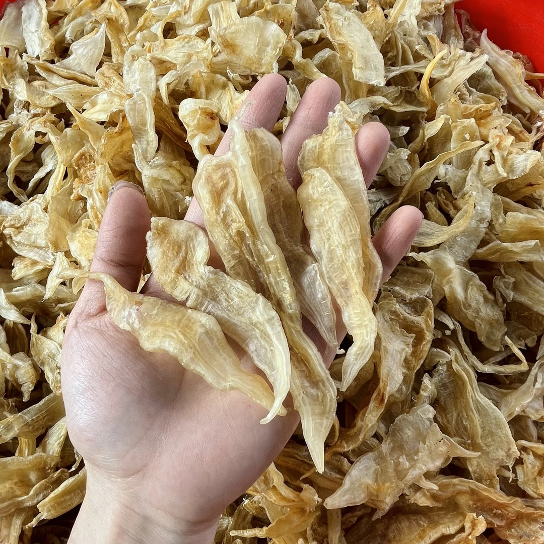 ［小金龙胶］小北海金龙胶咸水胶质好