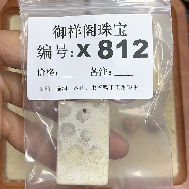 硅化珊瑚（珊瑚玉）颈饰未镶嵌清*