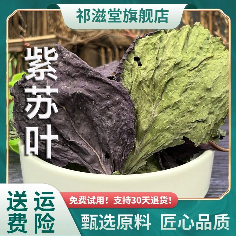 紫苏叶中药材紫苏叶子干苏叶正品新鲜干货紫苏叶泡茶泡水泡脚调料