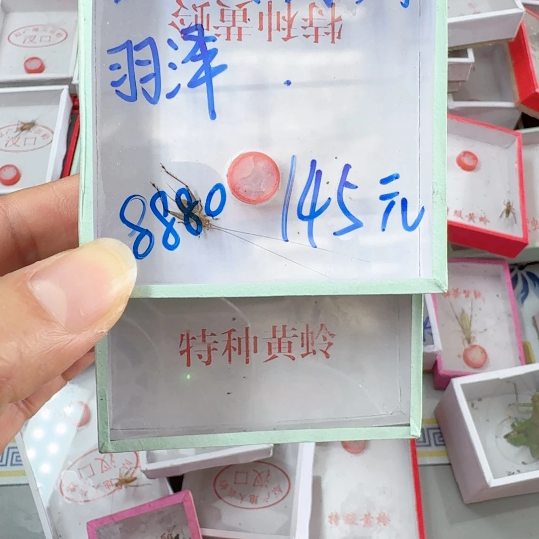 এ***࿐蟋蟀蝈蝈你的电话打不通啊我在