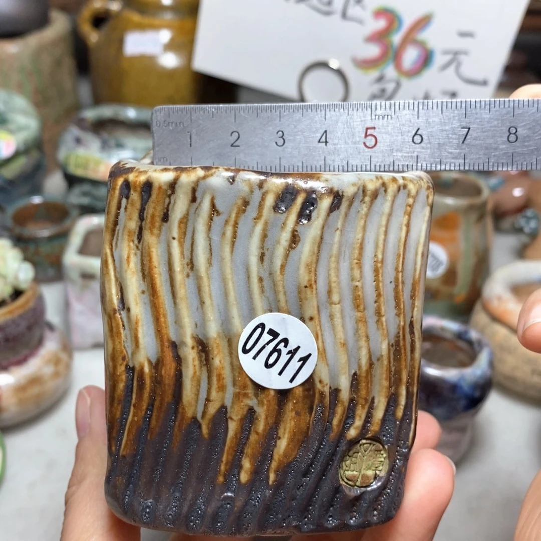 花盆拍3送一个小礼物