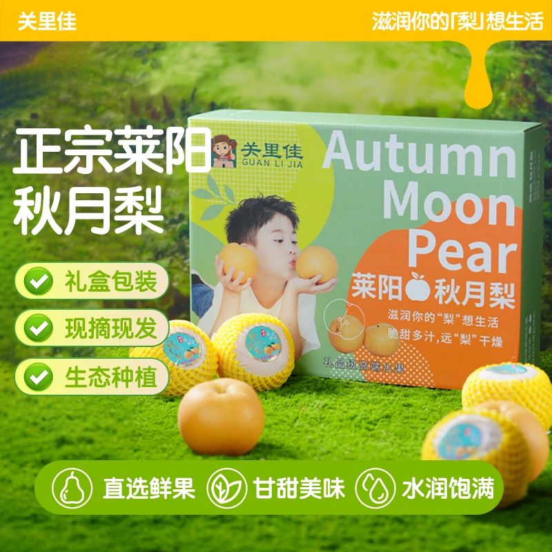 莱阳秋月梨正宗莱阳山东烟台特产特大果整箱礼盒梨子新鲜水果