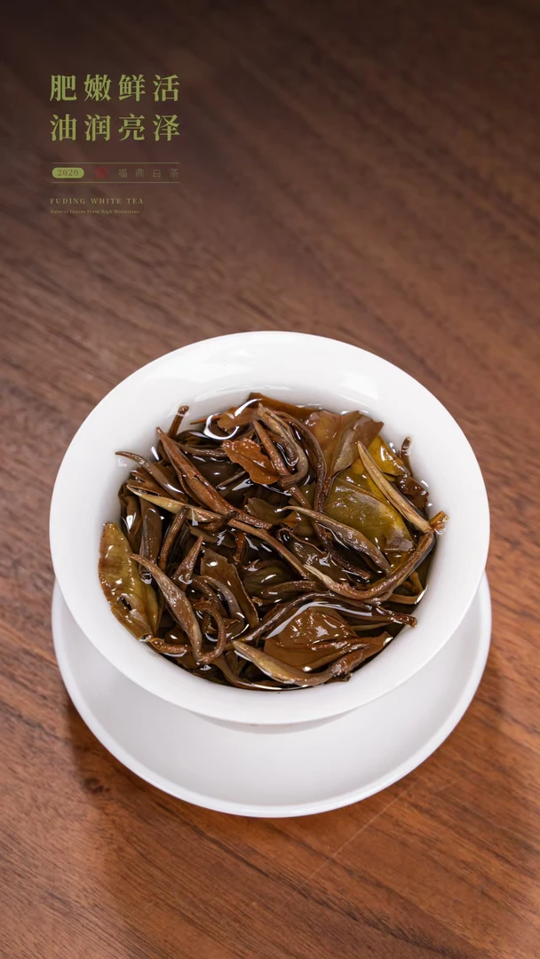 2020年正宗磻溪高山凤凰单枞老白茶寿眉散茶茶叶礼盒装