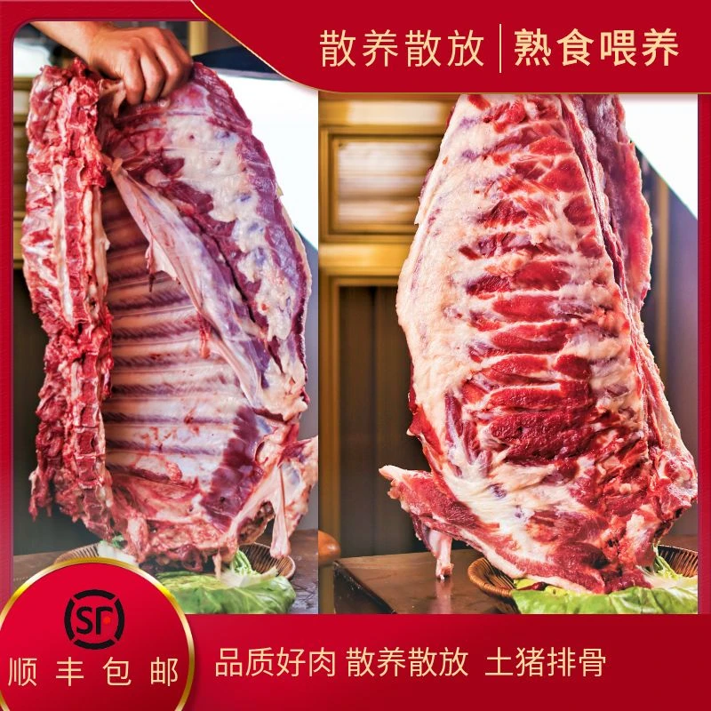 【酒窝专属】【排骨】湖北恩施高山散养土猪鲜肉 粮食喂养味道香