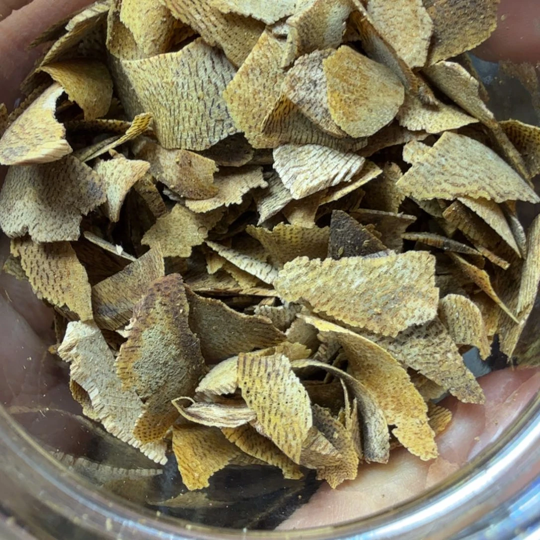 香料乌身圆叶切片5克体验装