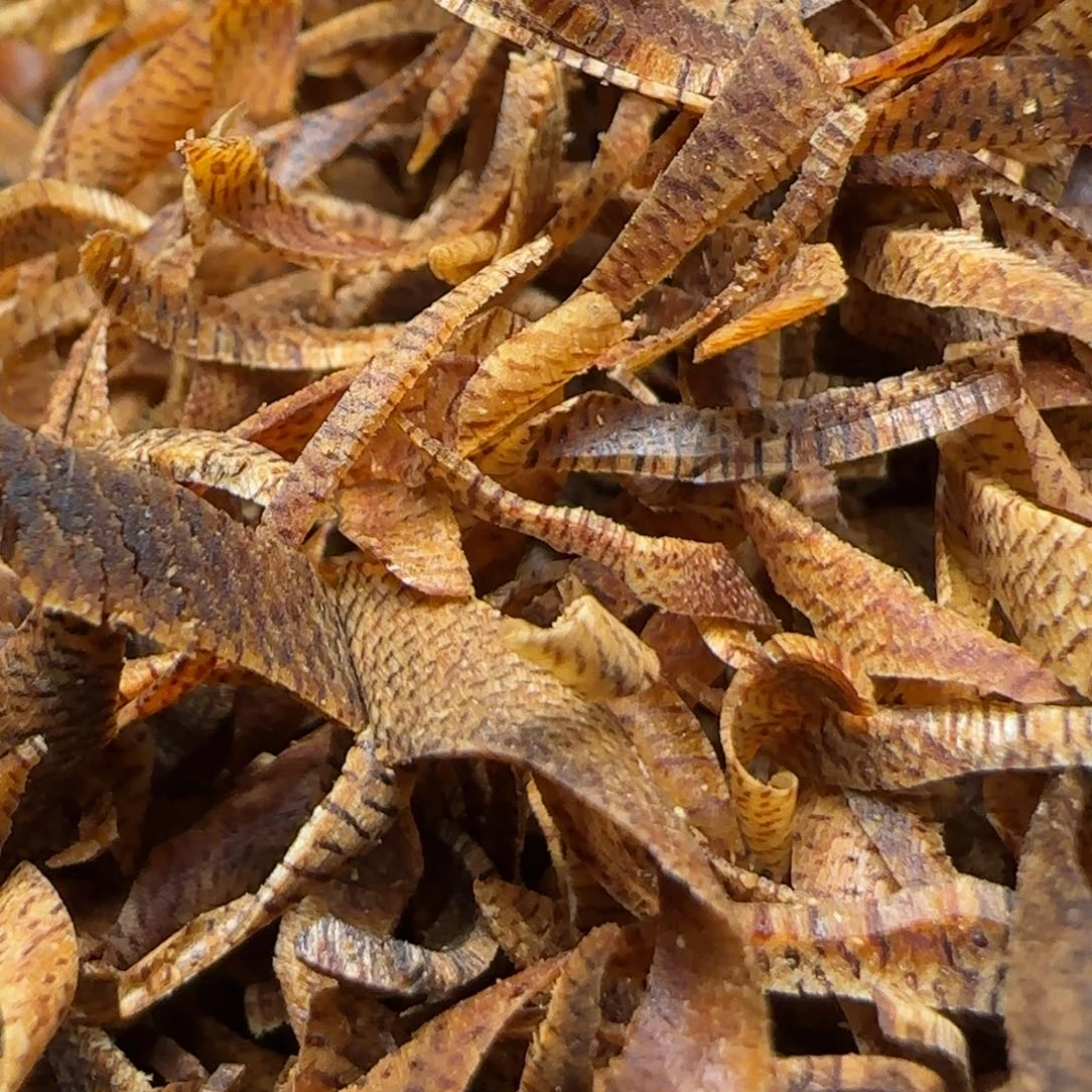 树脂制品啡千里香10克