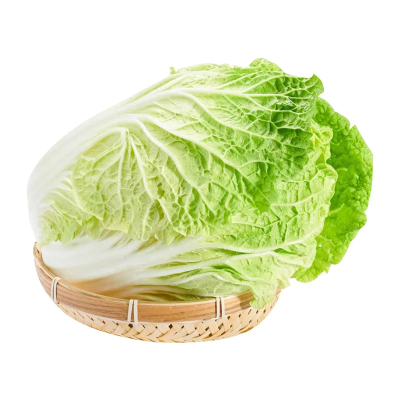 大白菜（政府储备）