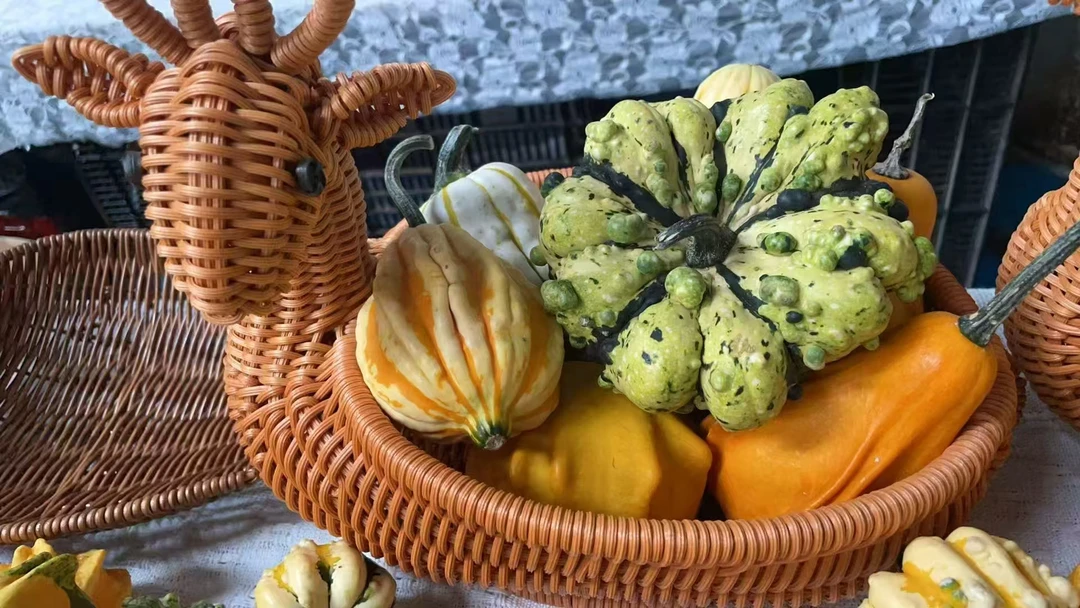 墨西哥福禄文玩摆件