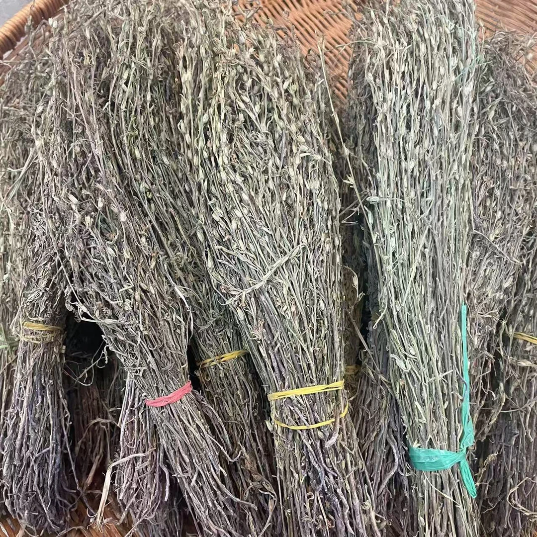 【大海干货店】独 角金