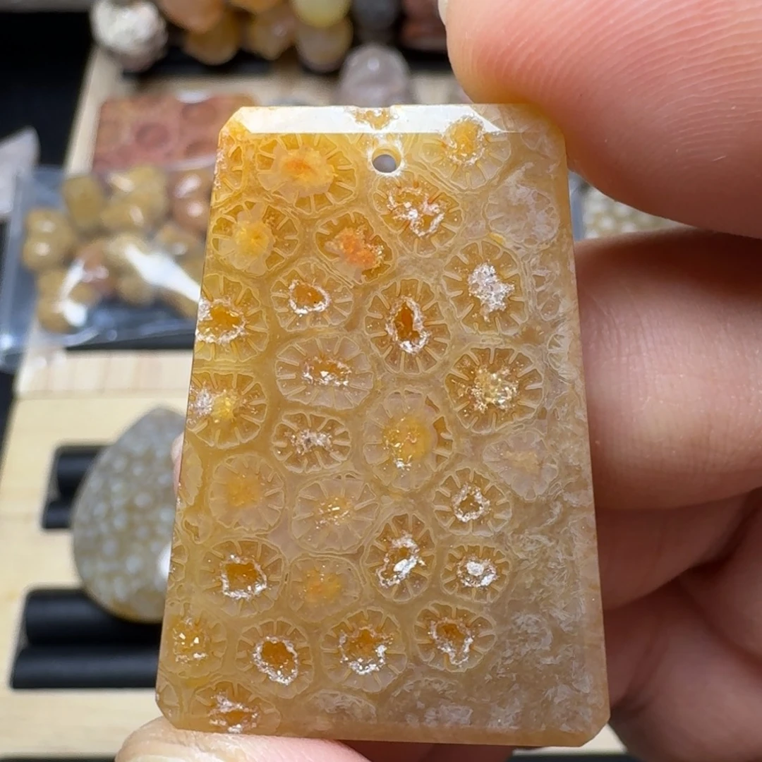 硅化珊瑚（珊瑚玉）未镶嵌纯天然有机玉石保真色
