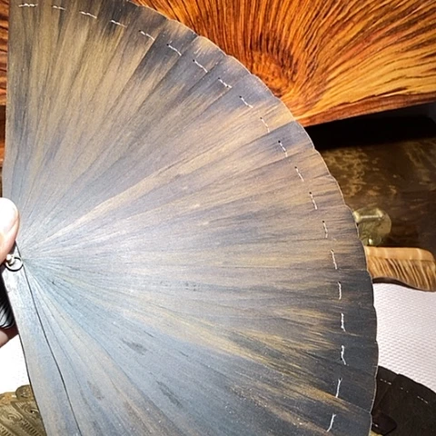 楠木（金丝楠）其他