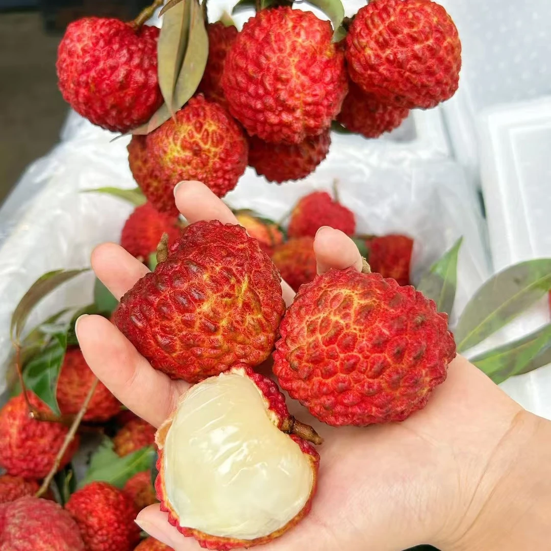 莆田状元红荔枝500g荔枝同城送福建省