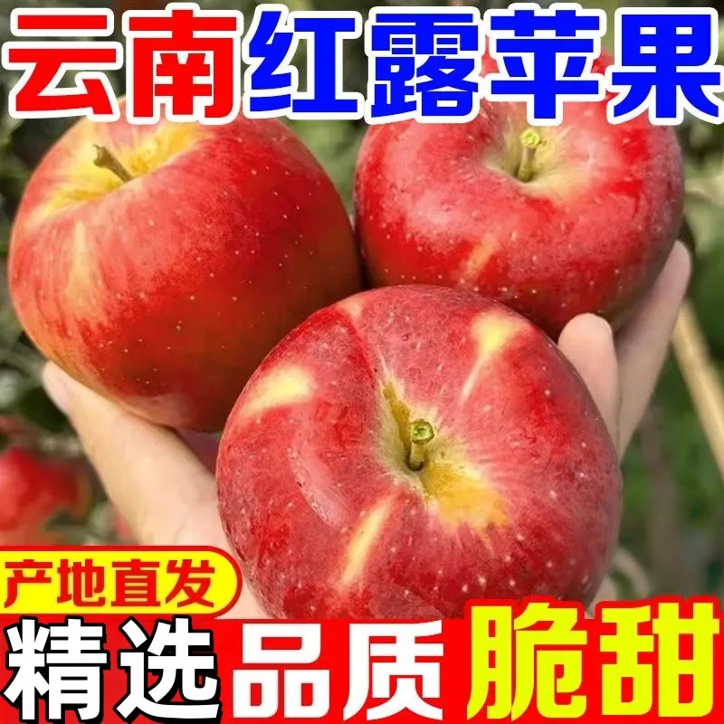 【25年鲜头茬】云南冰糖心丑苹果红露苹果脆甜多汁当季新鲜水果