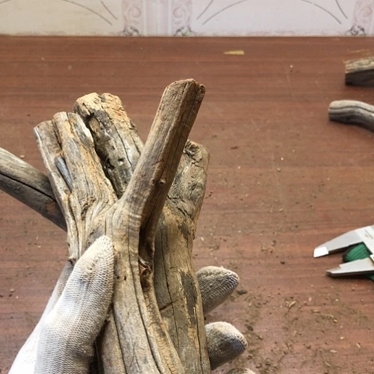 大果紫檀（缅甸花梨）@****火