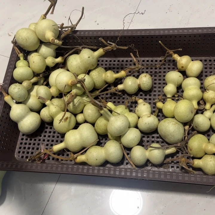 高***贸感谢大哥支持兄弟，不保成