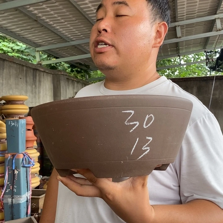 紫砂花盆盆栽花卉苗木