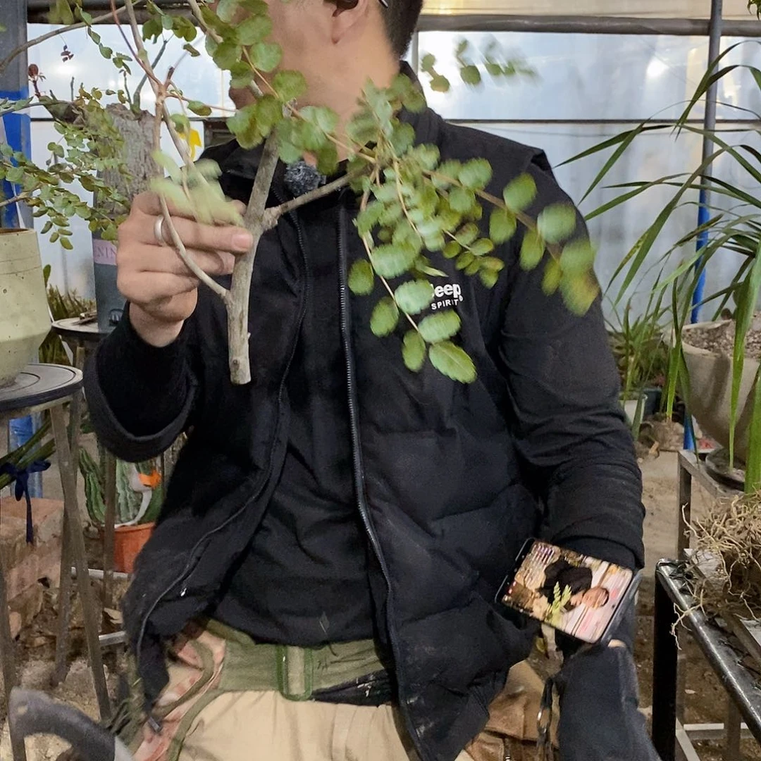 踹***车23号拍品。