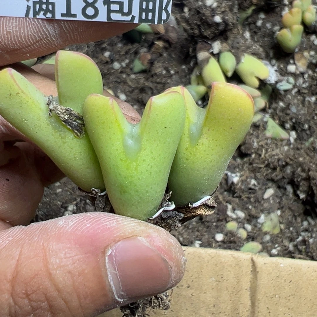 【闪购商品】 771。