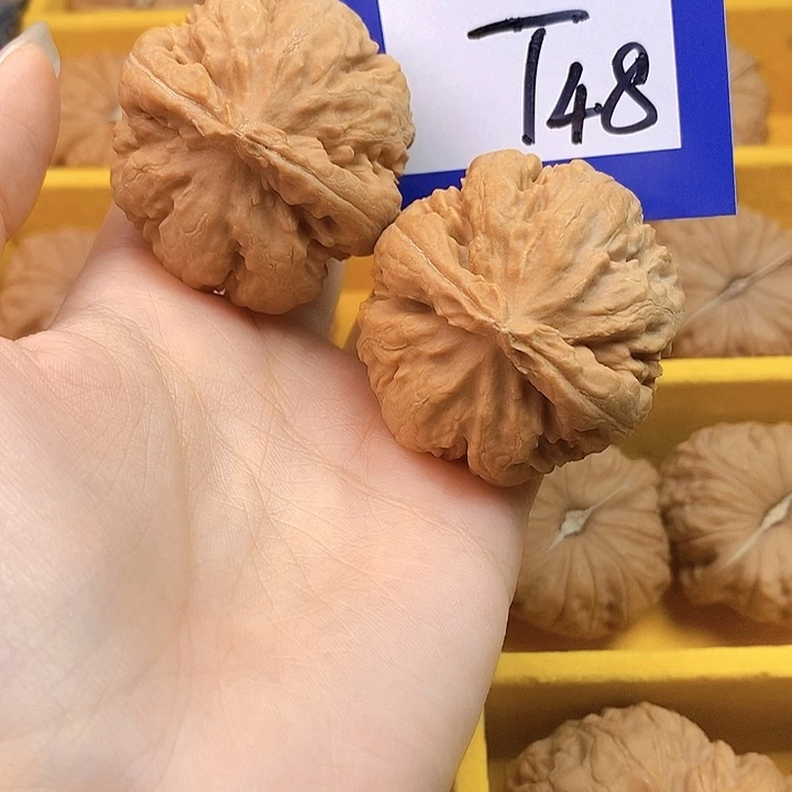 老***头文玩核桃把件文玩核桃霸王龙48