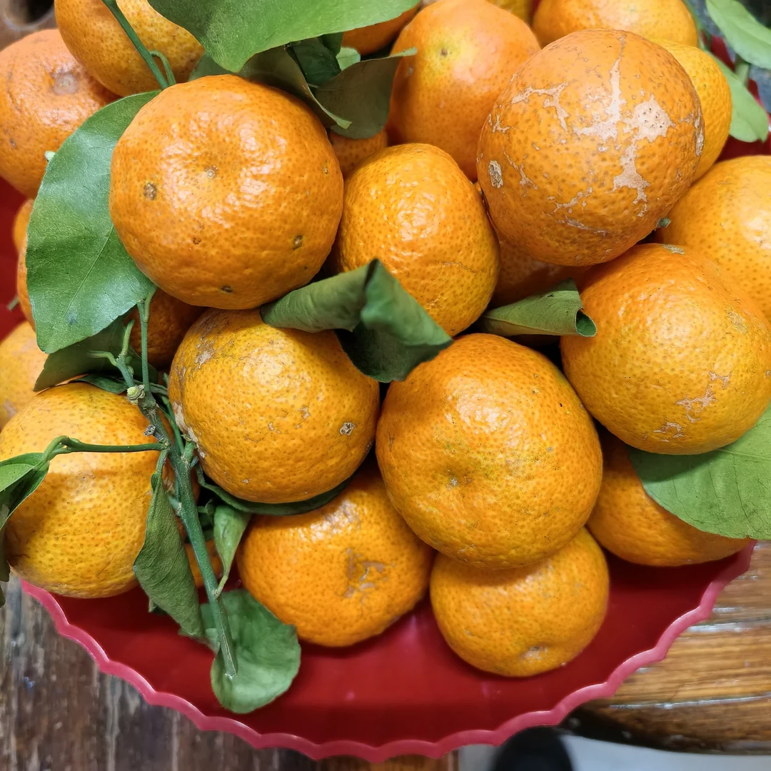 （尝鲜款）原产地新鲜货源，砂糖橘，广西正宗沙糖桔，沙糖桔（花皮）