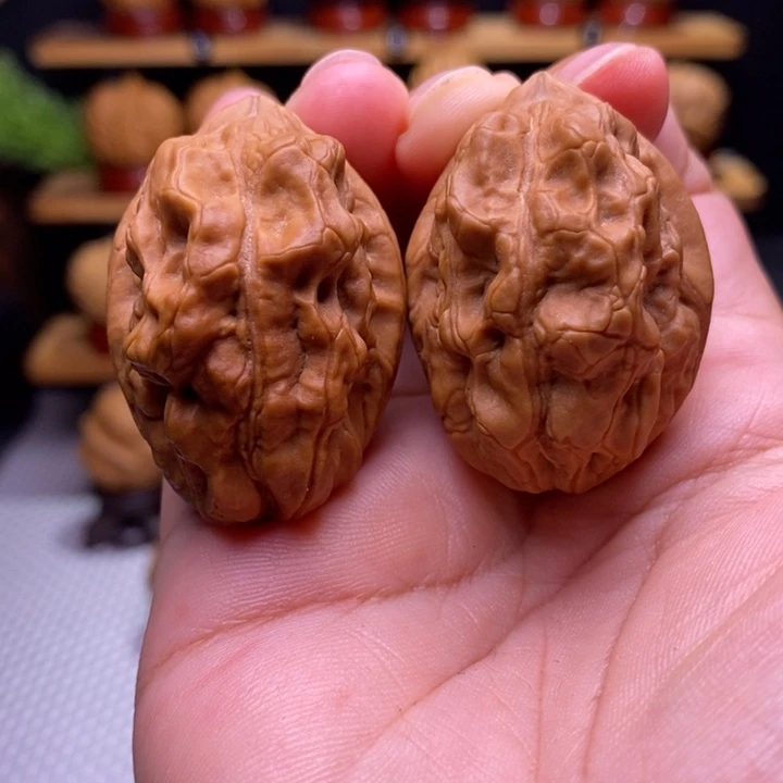 核桃云铁毒蝎子17号