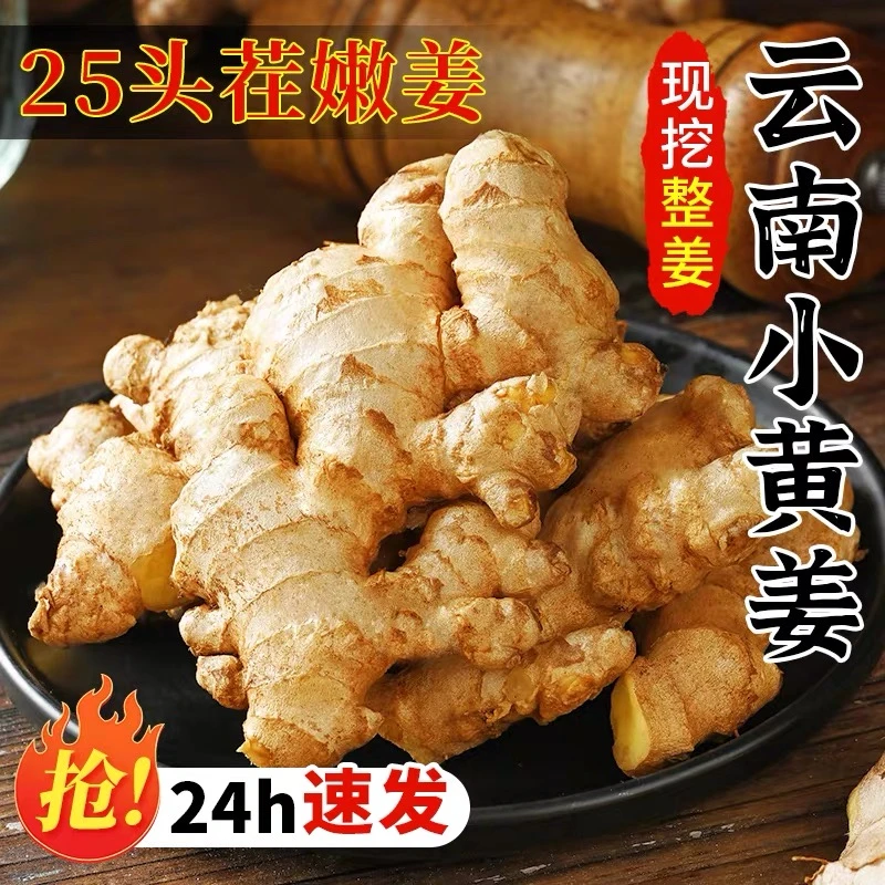 正宗云南小黄姜5斤新鲜生姜老姜批发沙姜蔬菜嫩姜仔姜整箱包邮10