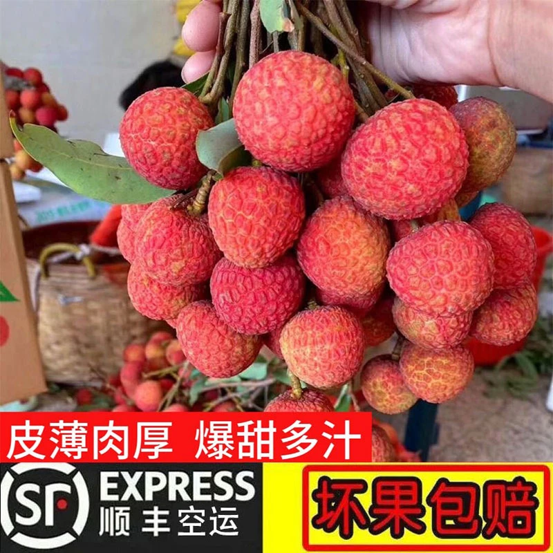 【顺丰现货】福建黑叶荔枝新鲜现摘现发老树乌叶荔枝当季水果整箱