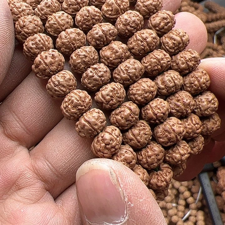 金刚菩提手串y*m树王