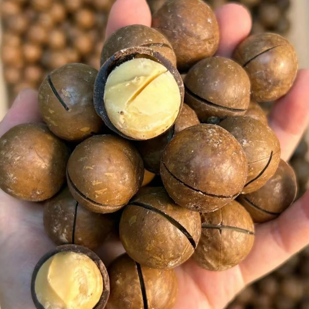 夏威夷果开心果松子巴坦木碧根果
