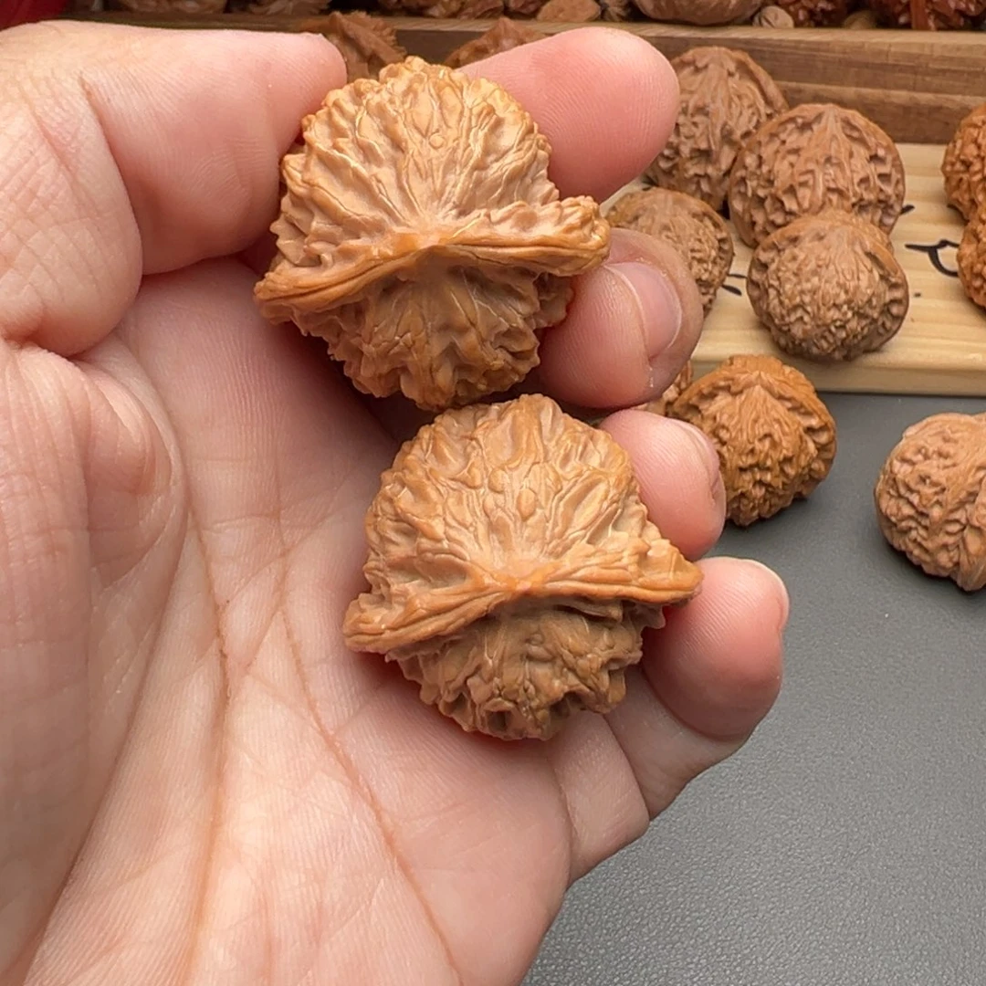 把件文玩核桃龟背