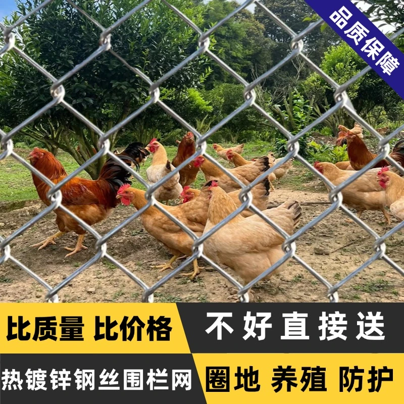 1.5高热镀锌铁丝网围栏鸡鸭牛羊养殖果园钢丝网菱形勾花防护围网