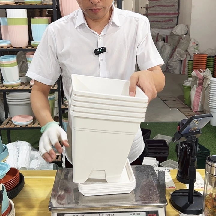 正品方盆口20高22白色5只带托