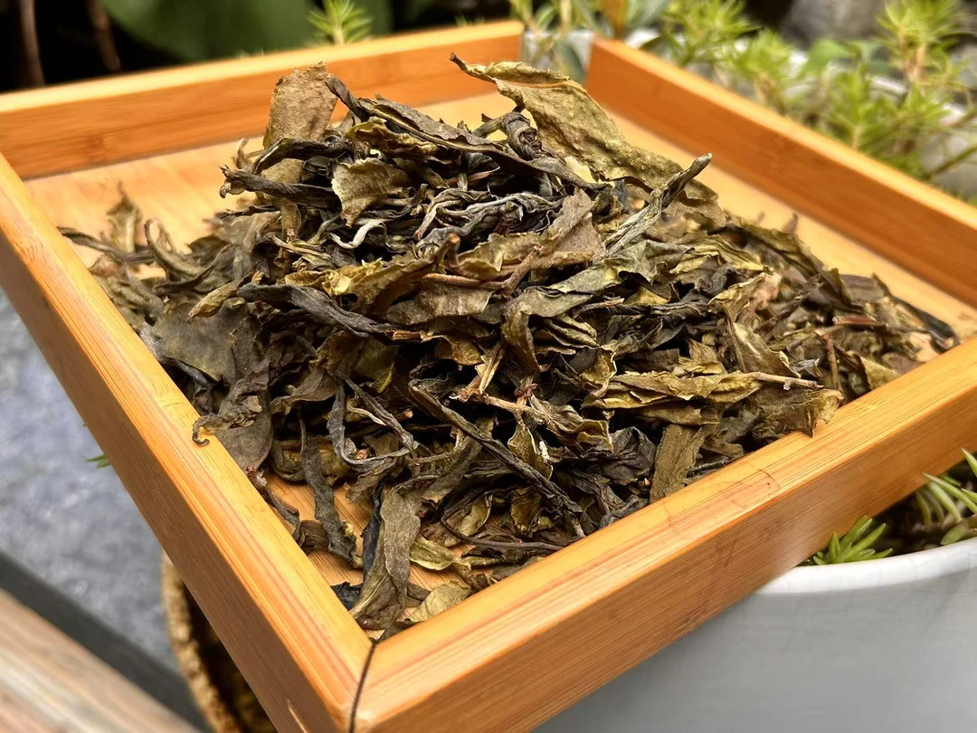 冰岛老寨65号2025年春黄金叶生茶散料