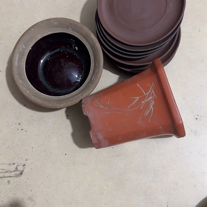 小***建扇子吃个哥哥哥哥哥哥哥哥哥哥