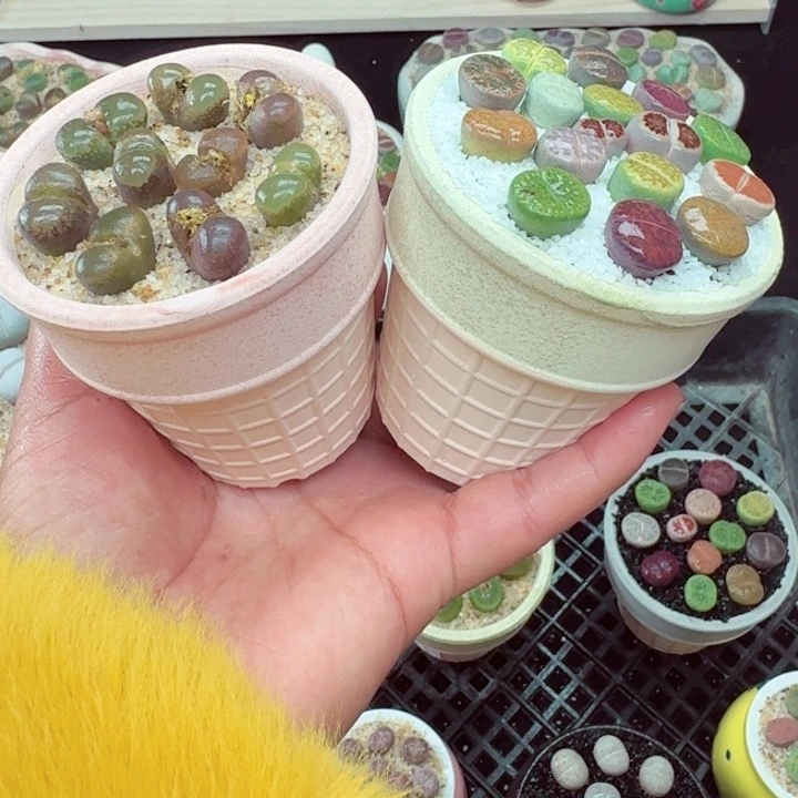 613零下地区记得拍保温箱