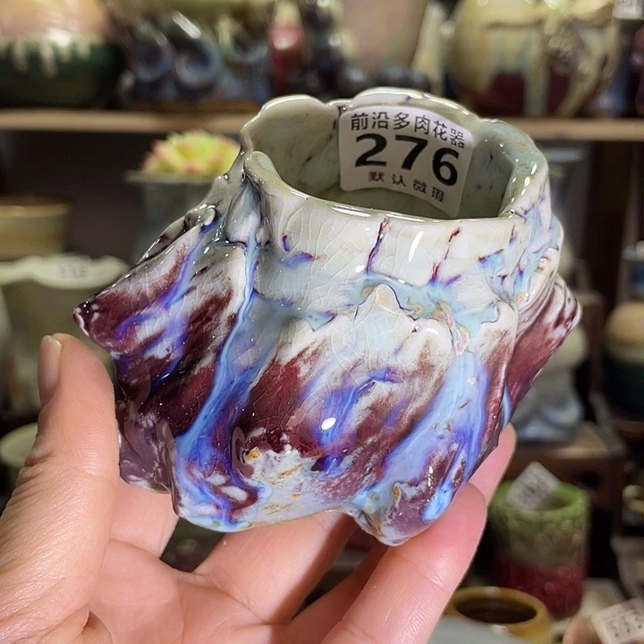 狼盆内口径5高度7（2个50）