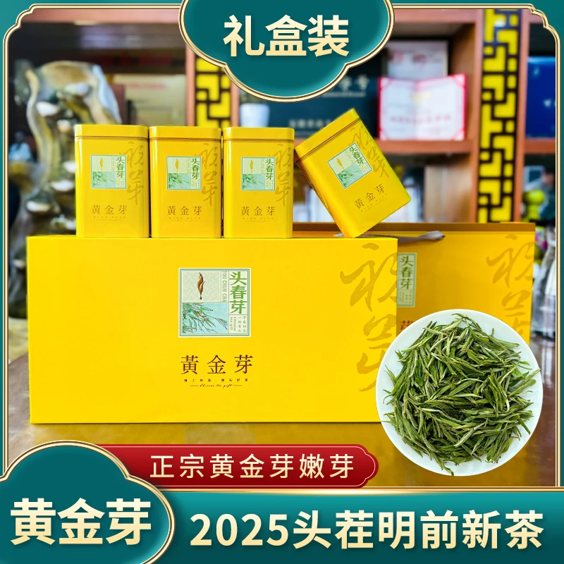 2025年新茶安吉原产黄金芽高山送人礼盒鲜嫩浓香好茶黄金芽礼盒装