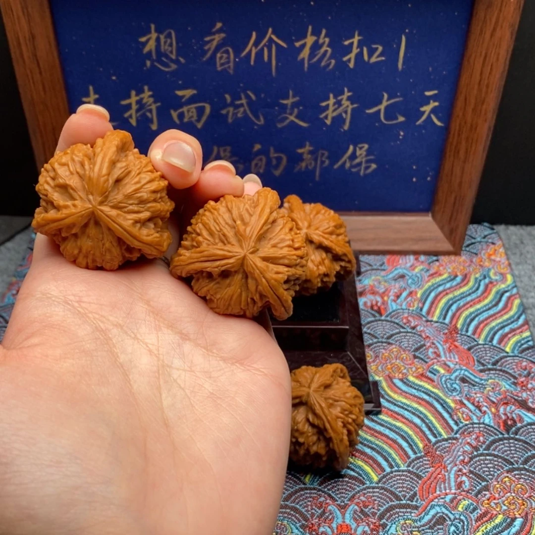 【闪购商品】夜*凉白狮