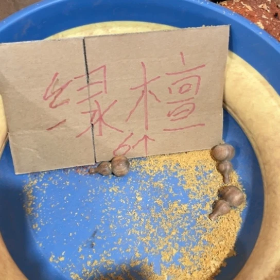 非洲紫檀（红花梨）