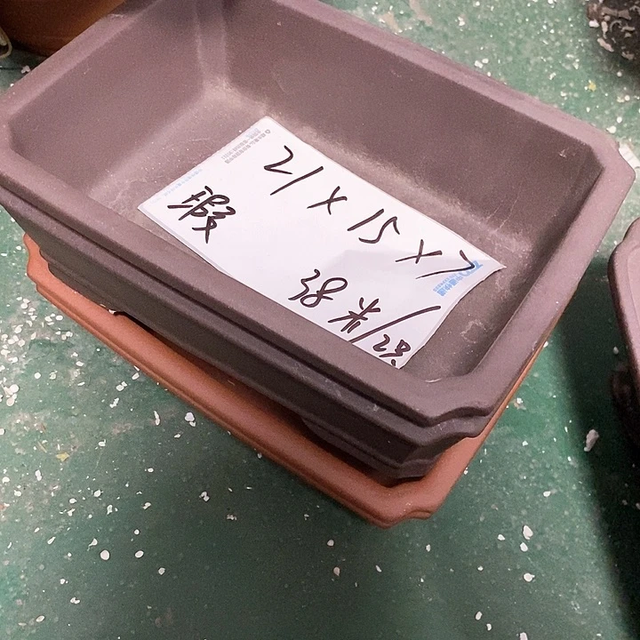 紫砂花盆今天下午