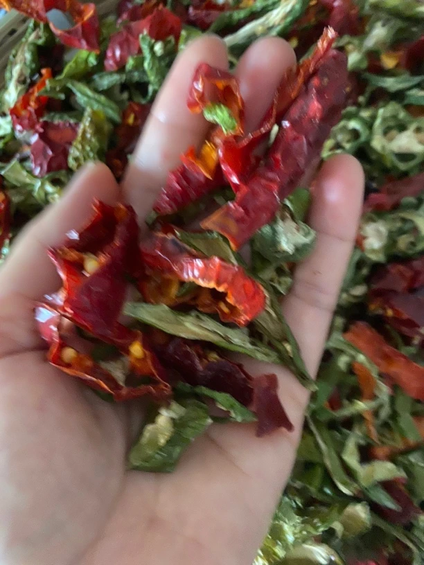 江西土辣椒壳 全干自家晒干青红辣椒250g