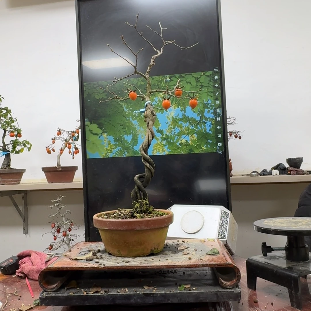 挡***i无花朵365顺丰到付不包邮