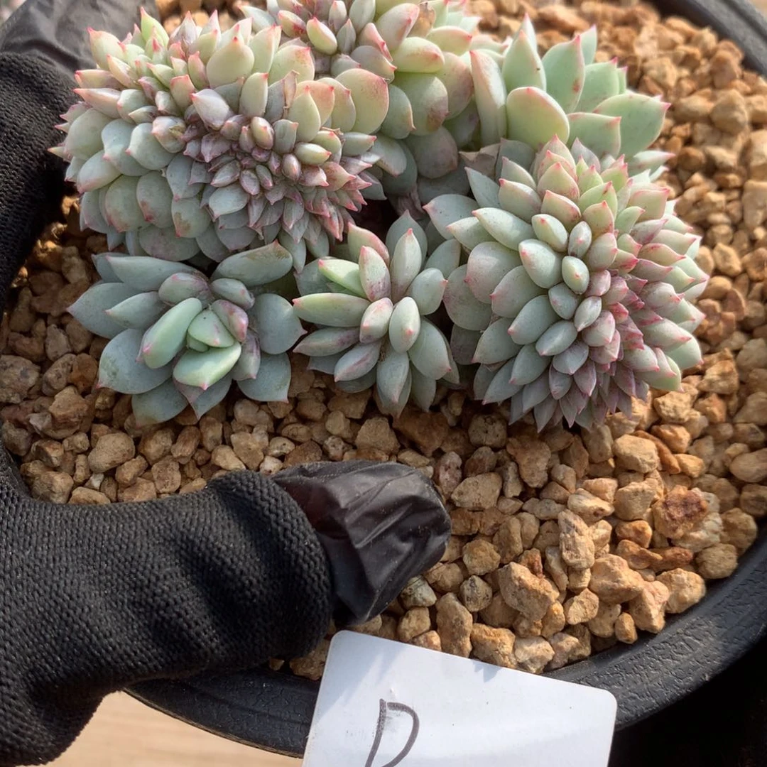 B022售后范围：签收起7天内，录开箱视频