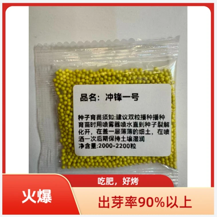 冲锋一号适合海拔2400以下全国通用的高产抗病品种(K)