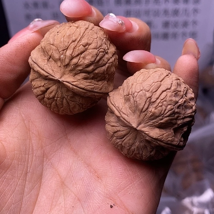 核桃云南野生铁核桃174号35mm