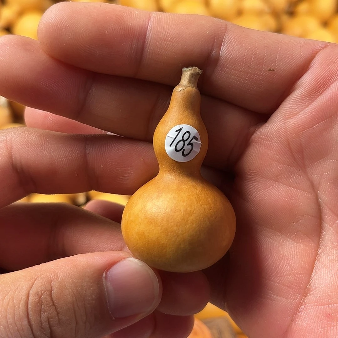 五葫芦葫芦葫芦葫芦185