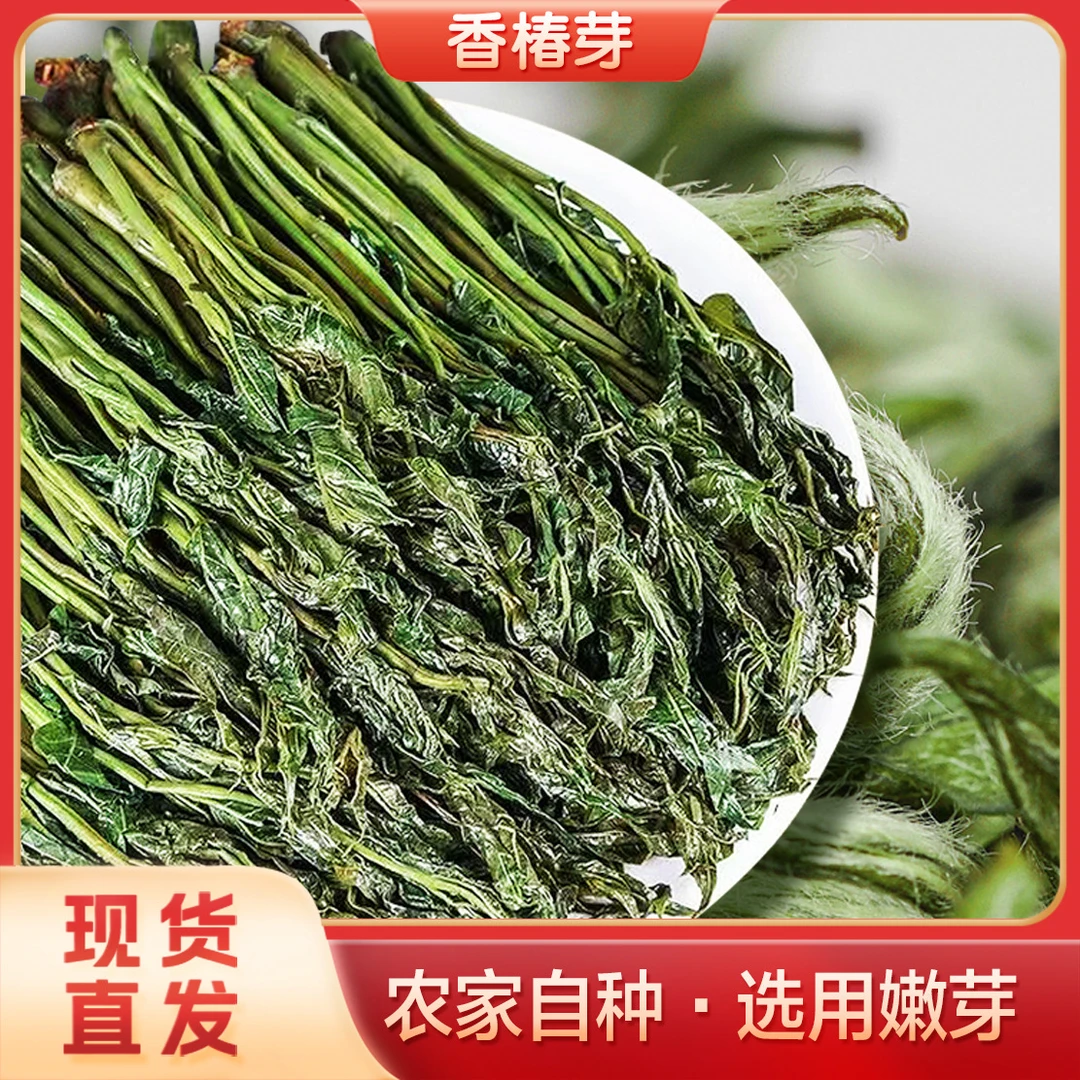 皖北特产当季新货香椿嫩芽 鲜嫩爽口新鲜盐渍保鲜香椿芽